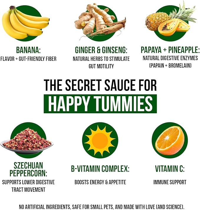 Digestive Support, Papaya by Sherwood Pet Health (100 Tablets - 60 Grams). Contains Natural Motility Herbs That Regulate The Digestive Tract, Improve The Gut microbiome and Stimulate The Appetite.