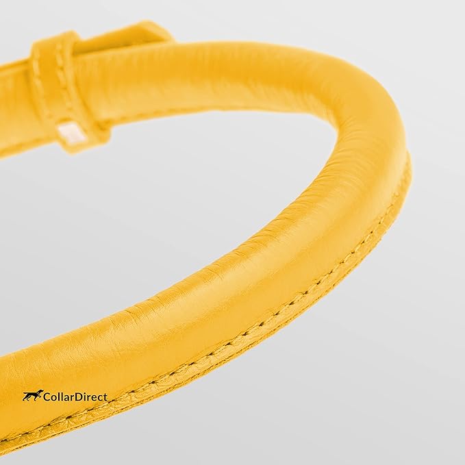 CollarDirect Rolled Leather Dog Collar, Soft Padded Round Puppy Collar, Handmade Genuine Leather Collar Dog Small Large Cat Collars 13 Colors (8-11 Inch, Yellow Textured)