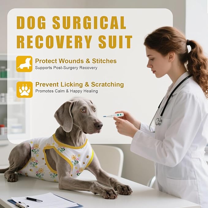 Recovery Suit for Dogs After Surgery, Professional Dog Surgical Suit for Female Spay, Male Neuter, E-Collar & Cone Alternative Dog Onesie for Abdominal Wounds Skin Disease, Yellow, XXL