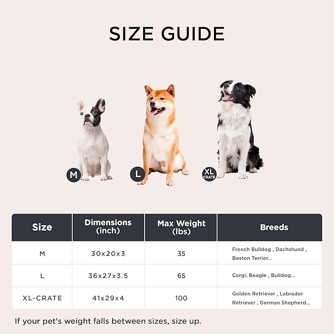 Bedsure Orthopedic Dog Bed for Medium Dogs - Flat Memory Foam Pet Mattress with Removable Washable Cover and Egg Crate Foam, Suitable for Pet Up to 35 lbs, 30x20x3 Inches, Grey