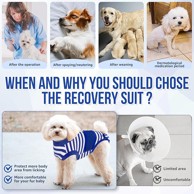 Lukovee Recovery Suit for Dogs - Zipper Onesie for Female & Male Dogs, Abdominal Wounds Cone E-Collar Alternative, Prevent Licking - Spay Recovery Suit (Small, Blue & White)