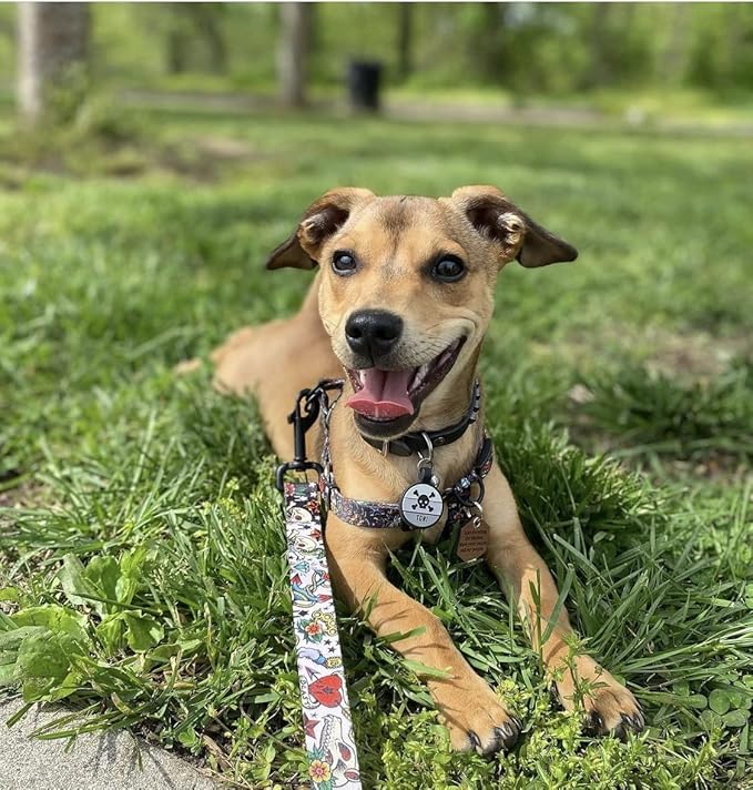 LYP Original Soundless Pet ID Tags | Custom Dog Tags Personalized for Pets | Durable Silicone Deep Engraved Dog Tag | No More Jingling | Skull & Crossbones