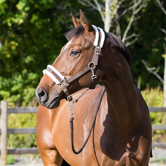 HORZE Howard Soft Fleece Padded Adjustable Polyester Horse Halter - Dark Brown - Pony