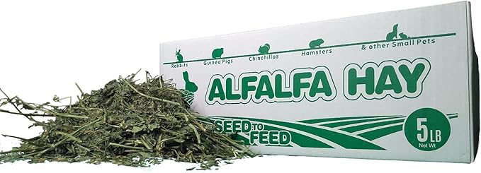 High Desert Alfalfa Hay for Rabbits, Guinea Pigs, Chinchillas & Small Pets – Protein-Rich Natural Hay for Young, Growing Animals – High-Fiber, Hand-Packed, Additive-Free, Grown in USA – 5 lb Box