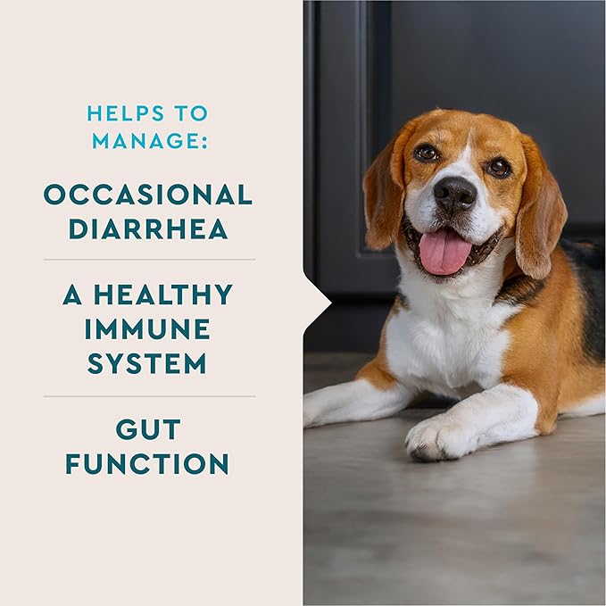 VetIQ Probiotic Powder for Dogs, Compare to Fortiflora Probiotic Powder*, Treats Diarrhea, Digestive Issues, and Food Sensitivity, Chicken Flavored Single Serve Packets, 30 Count