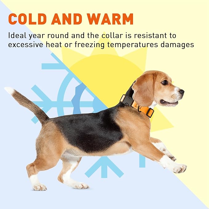 Dogline Biothane Waterproof Dog Collar with Quick Release Buckle Strong Coated Nylon Webbing with Odor- Proof for Easy Care Easy to Clean Fits Small Medium Large Dogs, Tangerine Orange 3/4" W 12-19" L