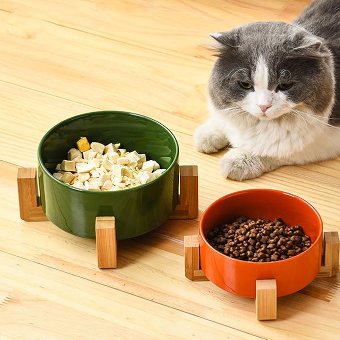 Petygooing Ceramic Cat Dog Bowl Set with Stand,Pet Food and Water Dishes,Medium Dog Bowls Anti -Slip Set of 2 Cat Dish Pet Food Bowls- Small Medium Size Pet (28OZ/6.1 in) Rust Red