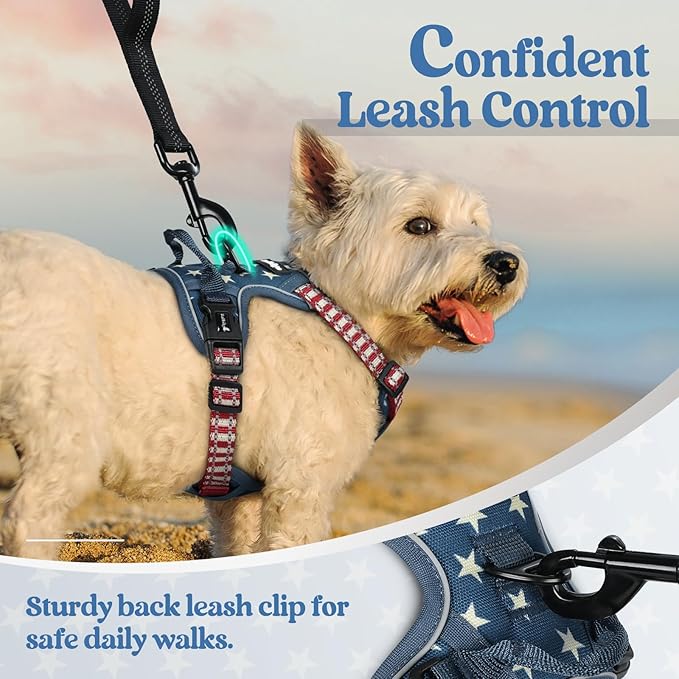 rabbitgoo Dog Harness No Pull with 2 Leash Clips, Adjustable Soft Padded, Reflective Oxford No Choke Pet Vest with Easy Control Handle for Large Dogs, Blue Star, XS