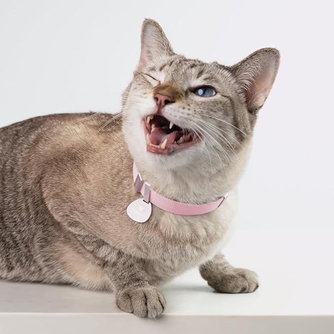 Safety Cat Collar Pro, Lightweight Elastic Release Non Breakaway Cat Collar Adjustable with Snap Fastener for Kitten All Small Large Cats, US IDA Gold Award (Monet Purple, M 7.9-15.7")