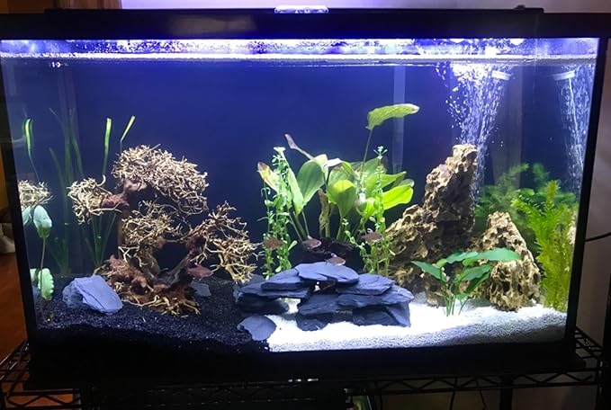 Natural Slate Stone 3 to 5 Inches - USA Sourced and Packaged for Aquascaping Aquariums, Terrariums, Paludariums, Reptiles, Wargaming, Model Railroads, Miniature Gardens, Mosaic Art (12lbs)