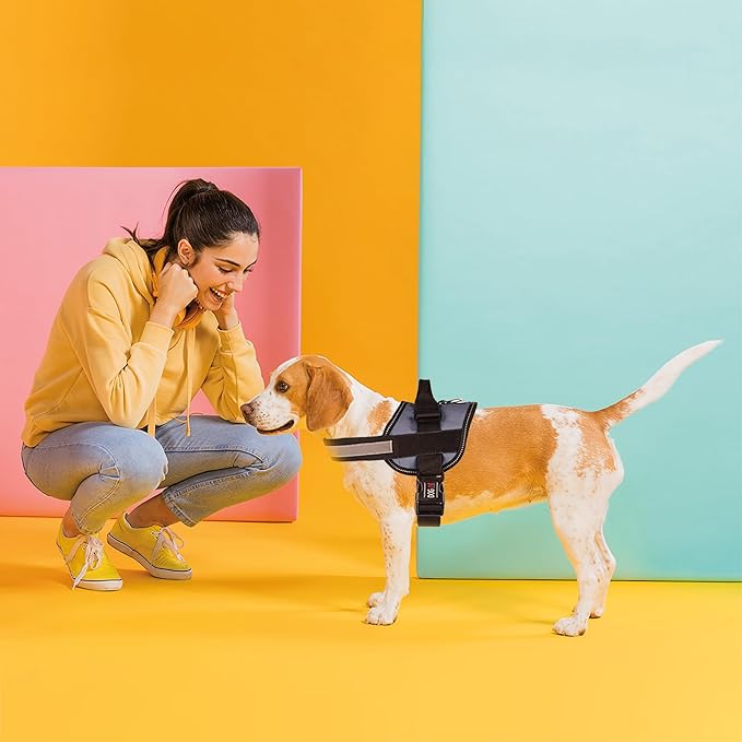 Dogline Dog Harness, Reflective No-Pull Adjustable Vest with Handle for Walking, Training, Service Breathable No - Choke Harness for Small, Medium or Large Dogs Room for Patches Grey S 18"-24"