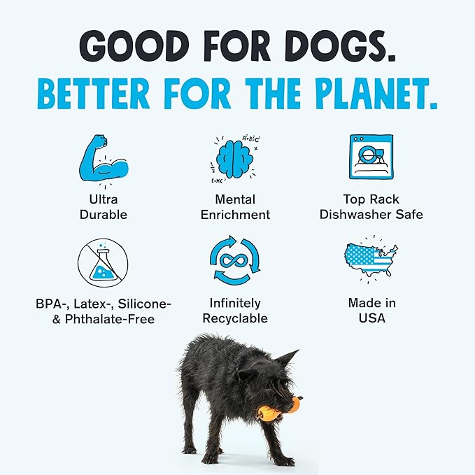 WEST PAW Zogoflex Qwizl Dog Puzzle Treat Toy – Interactive Chewing for Dogs – Dispenses Pet Treats – Brightly-Colored Dog Enrichment Toy for Aggressive Chewers, Fetch, Catch, Small 5.5", Mint