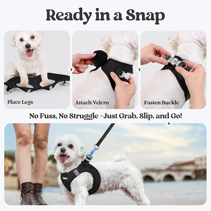 rabbitgoo Dog Harness Small Medium Sized and Leash Set, Step in Soft Light Puppy Vest, Breathable Mesh Pet Harness, Reflective for Safe Easy Walking, Black L