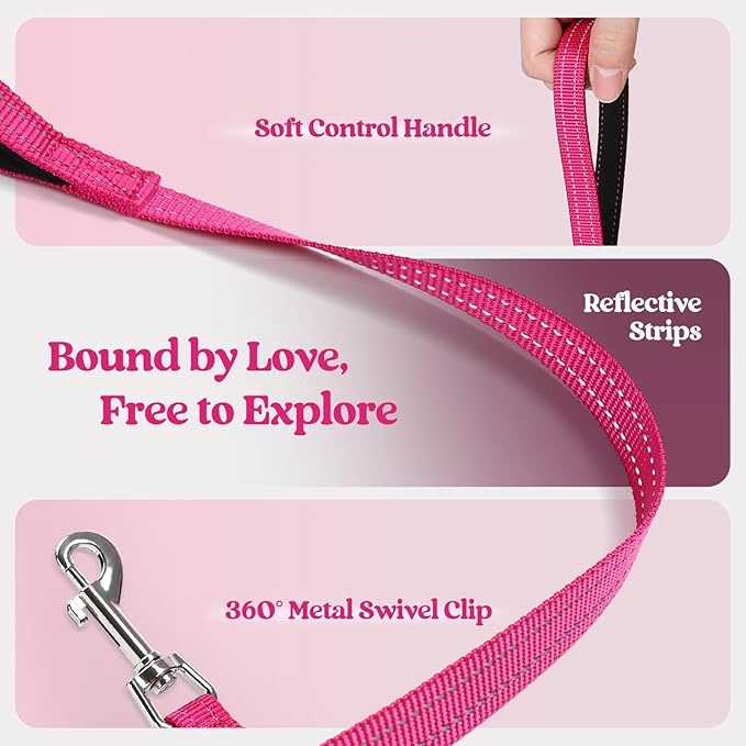 rabbitgoo Dog Harness Small Sized and Leash Set, Step in Soft Light Puppy Vest, Breathable Mesh Pet Harness, Reflective for Safe Easy Walking, Rose Red XS