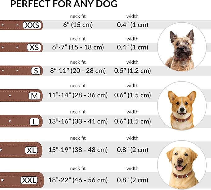 CollarDirect Rolled Leather Dog Collar, Soft Padded Round Puppy Collar, Handmade Genuine Leather Collar Dog Small Large Cat Collars 13 Colors (8-11 Inch, Cinnamon Smooth)