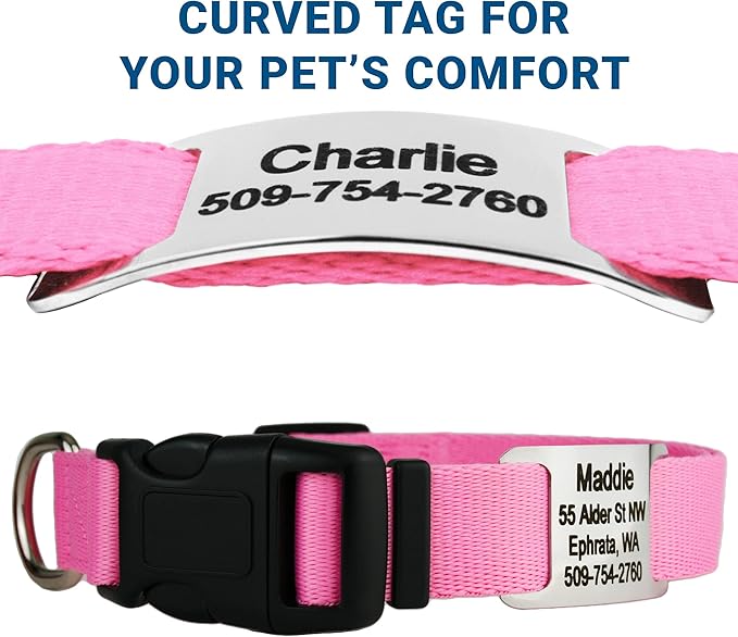 GoTags Personalized Dog Collar with Nameplate, Adjustable Dog Collar with Custom Engraved Slide On Pet ID Tag in Stainless Steel, Silent, No Noise Dog Tag for Large Medium and Small (Pink, X-Small)