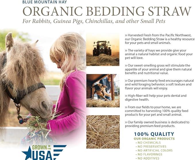Blue Mountain Hay | Organic Bedding Straw (5 lb) | Natural Pet Bedding & Insulation for Rabbits, Guinea Pigs, Goats, Chickens, Stray & Feral Cats, and Small Animal Shelters