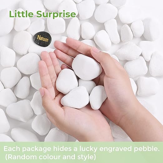 SIDONG 5 lbs White River Rocks, 1.2-2 Inches Pebbles for Indoor Plants, Aquarium Rocks Used in Fish Tank, Decorative Stones for Plants, Vases, Home Décor, Crafting, Garden Landscaping