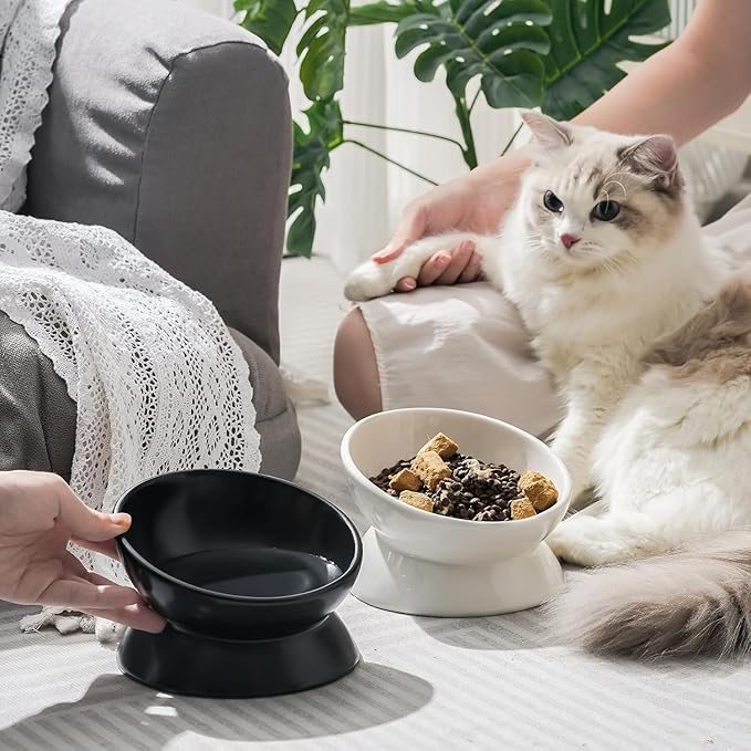 YINGFAN Elevated Cat Bowls, 5oz Ceramic Raised Cat Bowl for Cats/Kittens with Tilted Design, Porcelain Cats Feeding Dishes for Food/Water, Anti Vomit, Microwave & Dishwasher Safe (Light White)