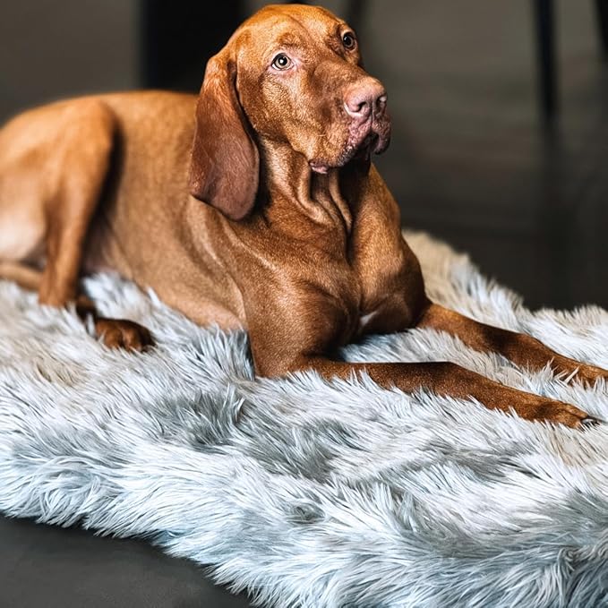 IHAPPYDOG Luxury Faux Fur Orthopedic Dog Bed, Memory Foam Dog Bed for Small, Medium, Large and XL Pets, Fluffy Pet Bed with Waterproof and Washable Cover (Grey, 40"x25")