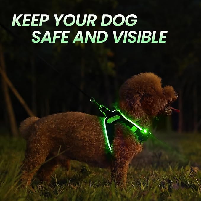 PceoTllar Light Up Dog Harness, LED No Pull Reflective Dog Harness, Flashing Lighted for Night Walking - Small/Medium, (Black Green,m)