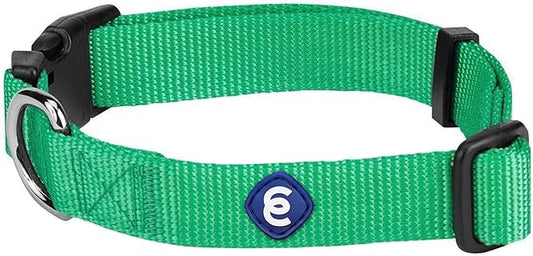 Blueberry Pet Essentials Medium Dog Collar in Emerald | Adjustable & Eco-Friendly Durable Nylon Strap | Classic Collar for Medium Dogs, Boy & Girl Pets