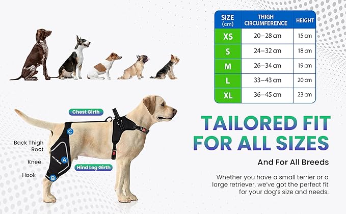Petpanm- Adjustable Dog Knee Brace- Right Hind Leg with Integreted Harness- Premium Support for Torn ACL, Sprains & Strains Recovery, Enhances Mobility, Comfortable Neoprene. (XSmall)