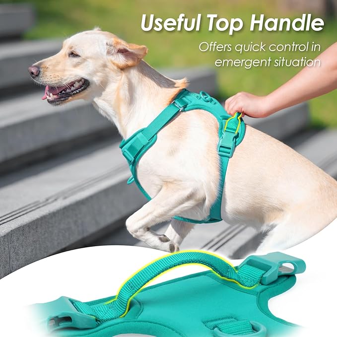 No Pull Dog Harness, Puppy Vest with Front Clip for Small Medium Large Sized Dog(MARRS Green,XL)