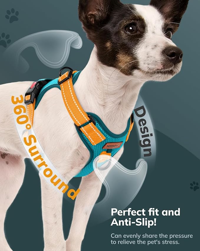MIDOG No-Pull Dog Harness | Adjustable & Reflective Pet Harness Leash Set for Small Medium Large Dogs Walking, Training| No Choke, Front Clip, Soft Padded Vest with Easy Control Handle - Blue, S