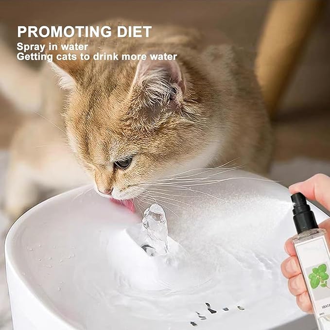 Kitty Joy Herbal Cat Joy, Herbal Cat Joy Spray, Celery Pets Catnip Spray, Catnip Spray for Indoor Cats, Cat Calming Spray, Anti Scratch Cat Spray, Cat Training Spray with Catnip, Cat Nip Spray (2PCS)