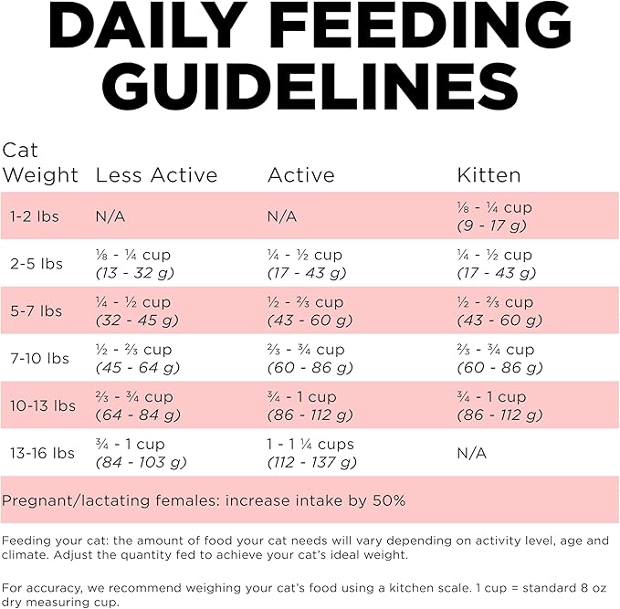 Go! Solutions Carnivore, Grain-Free, Protein Rich Dry Cat Food, Salmon and Cod Recipe, 3 lb Bag