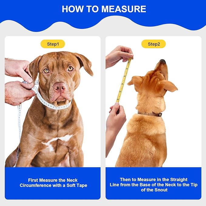 Lainergie Adjustable Soft Dog Cone Collar for After Surgery Recovery, Comfortable Pet Recovery Protective Collar for Medium Large Dogs, Elizabethan Dog Neck Collar (S, Black)