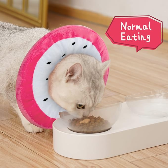 ANWA Adjustable Cat Cone Collar Soft, Cute Cat Donut Collar After Surgery, Kitten Recovery Cones to Stop Licking