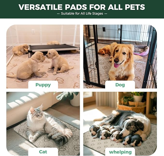FXW Washable Pee Pads for Dogs, Puppy Pads with Super Absorbent, Specifically Designed for 42inch Cages, Rectangle, 41" x 27", 2 Packs