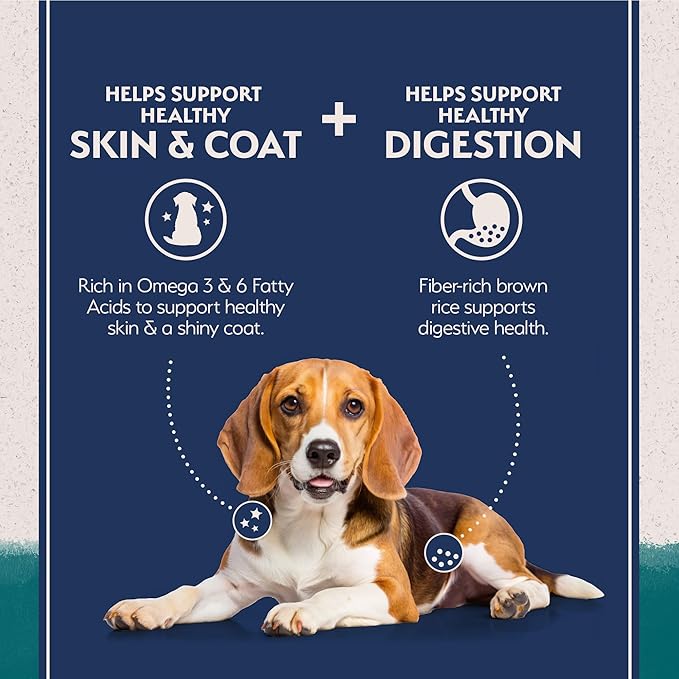 Natural Balance Limited Ingredient Adult Dry Dog Food with Healthy Grains, Chicken & Brown Rice Recipe, 4 Pound (Pack of 1)