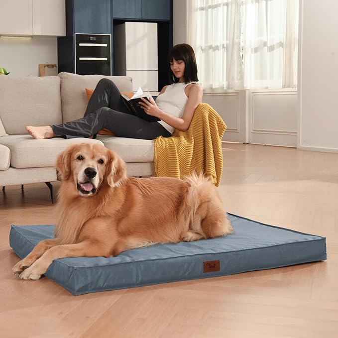 Medium Dog Bed for Medium/Small Dogs, Orthopedic Dog Beds with Removable Washable Waterproof Cover, Egg Crate Foam Pet Bed Mat, Blue