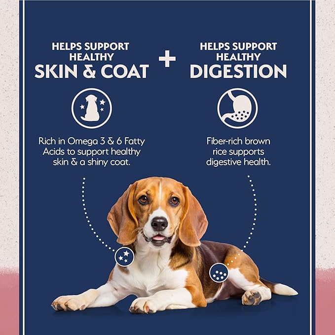 Natural Balance Limited Ingredient Adult Dry Dog Food with Healthy Grains, Salmon & Brown Rice Recipe, 4 Pound (Pack of 1)