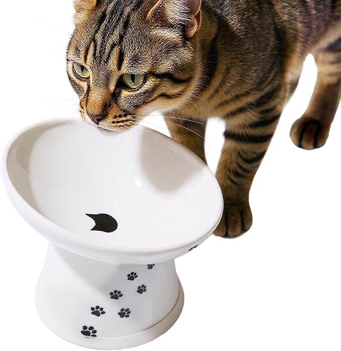 Necoichi Extra Wide Raised Cat Food Bowl, Elevated, Prevent Neck & Whisker Fatigue, Dishwasher and Microwave Safe, No.1 Seller in Japan! (Cat, Extra Wide Tilted)