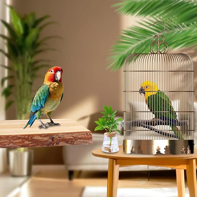 Bird Toys Parakeet Perch Budgie Perch Wood Stand Fork Toys Multi-Branch Perch Platform Toy for Small Conures,Cockatiel,Parrotlet,Lovebird,Parrot,Finches