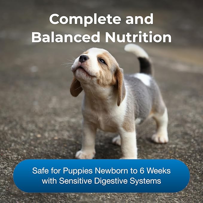 PetAg Goat’s Milk Esbilac Powder - 12 oz, Pack of 2 - Powdered Puppy Formula with Prebiotics, Probiotics & Vitamins for Puppies Newborn to Six Weeks Old - for Sensitive Digestive Systems