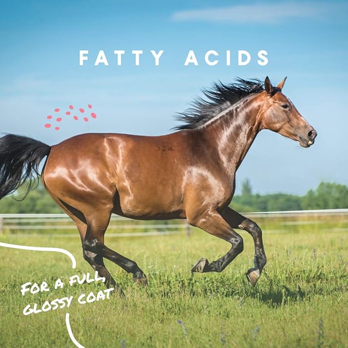 Manna Pro Cool Calories 100 – Equine Fat Supplement for Horses, Supports Healthy Weight Gain, Muscle Maintenance & Shiny Coat, Concentrated Dry Fat Calorie Booster, Low-Starch Formula, 8 lb Bag