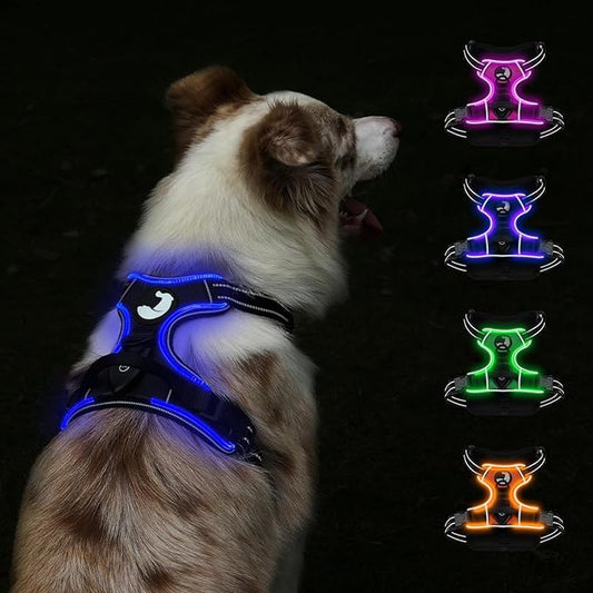 Taglory Light Up Dog Harness, Rechargeable No Pull Dog Vest with 3 Lightning Modes, Reflective Dog Harness with 2 Leash Clips & 4 Adjustable Slide Strips for Large Dogs, Black-Blue, L