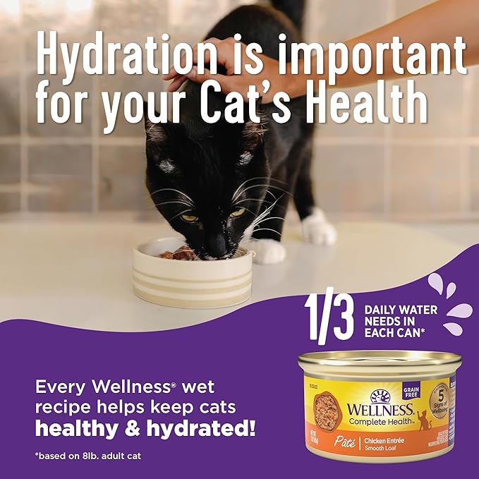 Wellness Complete Health Minced Adult Wet Cat Food, Natural, Protein-Rich, Grain Free, 5.5 Ounce, 24 Pack, (Chicken Entrée)