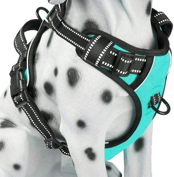 PoyPet No Pull Dog Harness, Reflective Comfortable Vest Harness with Front & Back 2 Leash Attachments and Easy Control Handle Adjustable Soft Padded Pet Vest for Small Medium Large Dogs (Mint Blue,M)