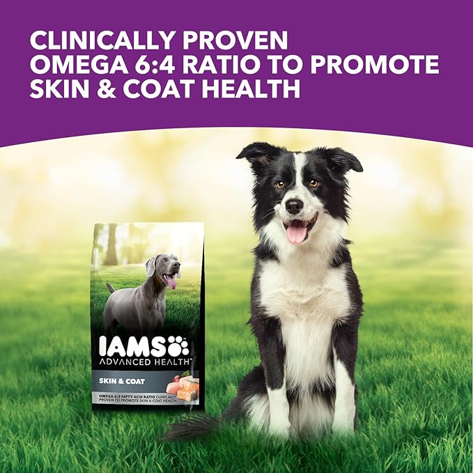 IAMS Advanced Health Skin & Coat Adult Dry Dog Food Chicken and Salmon Recipe, 6 lb. Bag