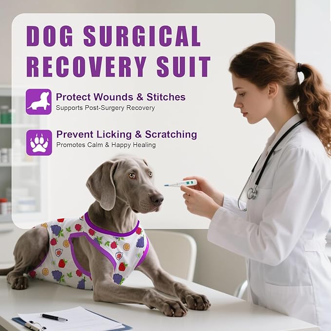 Recovery Suit for Dogs After Surgery, Professional Dog Surgical Suit for Female Spay, Male Neuter, E-Collar & Cone Alternative Dog Onesie for Abdominal Wounds Skin Disease, Purple, XS