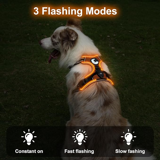 Taglory Light Up Dog Harness, Rechargeable No Pull Dog Vest with 3 Lightning Modes, Reflective Dog Harness with 2 Leash Clips & 4 Adjustable Slide Strips for Small Dogs, Orange-Orange, S