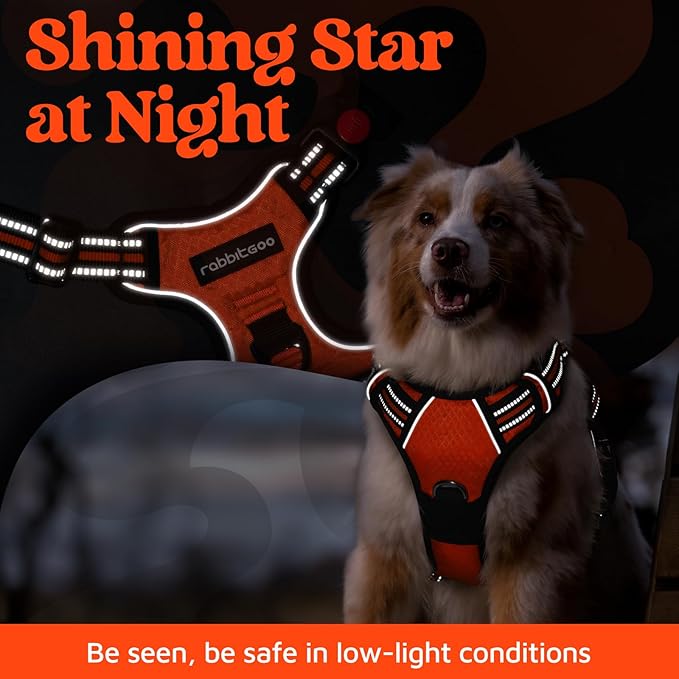 rabbitgoo Dog Harness Medium Sized, No Pull Dog Vest with 3 Buckles, Adjustable Soft Padded Pet Harness with Easy Control Handle and Reflective Strips, Orange, M