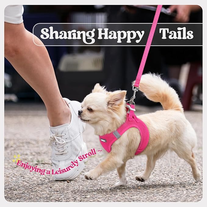 rabbitgoo Dog Harness Small Sized and Leash Set, Step in Soft Light Puppy Vest, Breathable Mesh Pet Harness, Reflective for Safe Easy Walking, Rose Red XXS