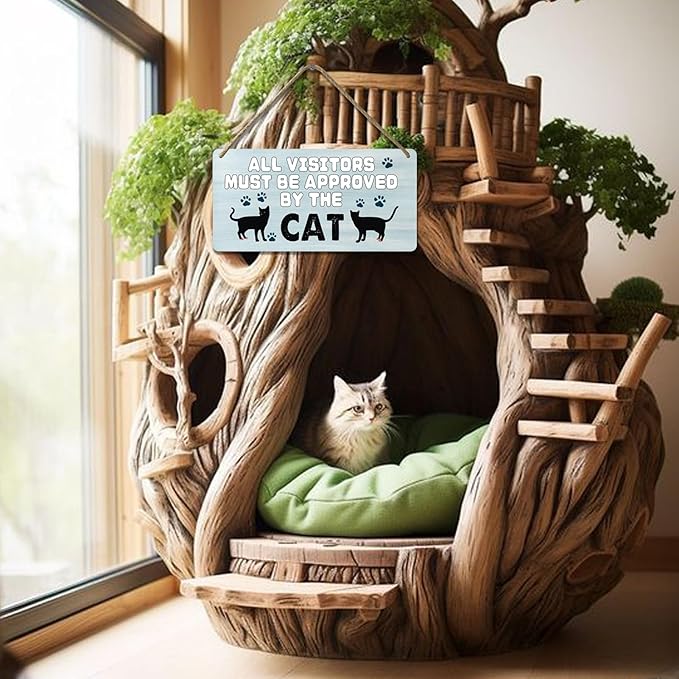 Black Cat Decor For Cat Lovers Cat Wooden Door Sign Cat Gifts For Cat Lovers Wood Cat Home Wall Decor All Visitors Must Be Approved By The Cat Signs Love Wall Decoration Cat Funny Cats Sign 12x6 In